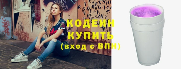 крисы Кулебаки