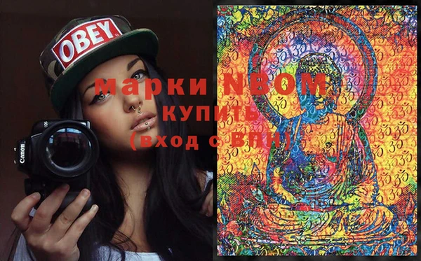 крисы Кулебаки