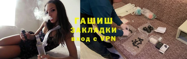 крисы Кулебаки