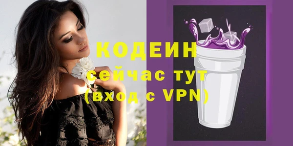 крисы Кулебаки
