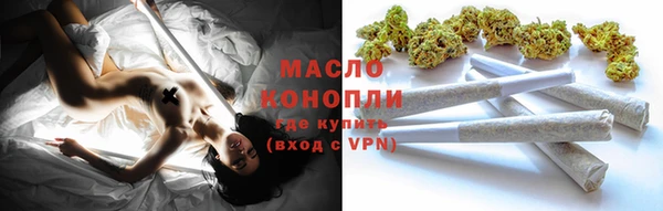крисы Кулебаки