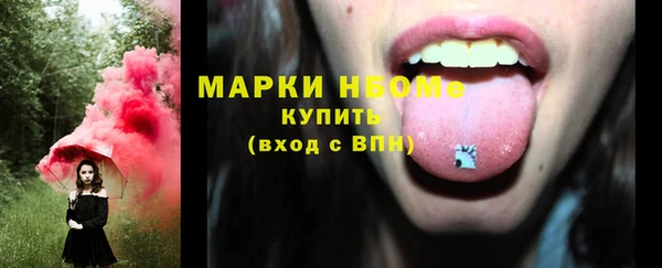 крисы Кулебаки