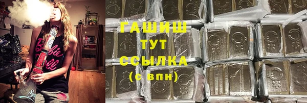 крисы Кулебаки