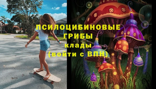 крисы Кулебаки