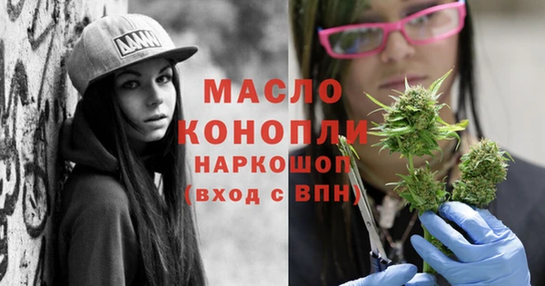 крисы Кулебаки