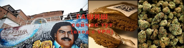 крисы Кулебаки